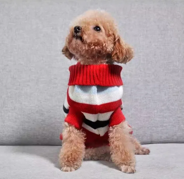 Striped dog knitwear (2 colors)