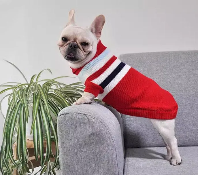 Striped dog knitwear (2 colors)