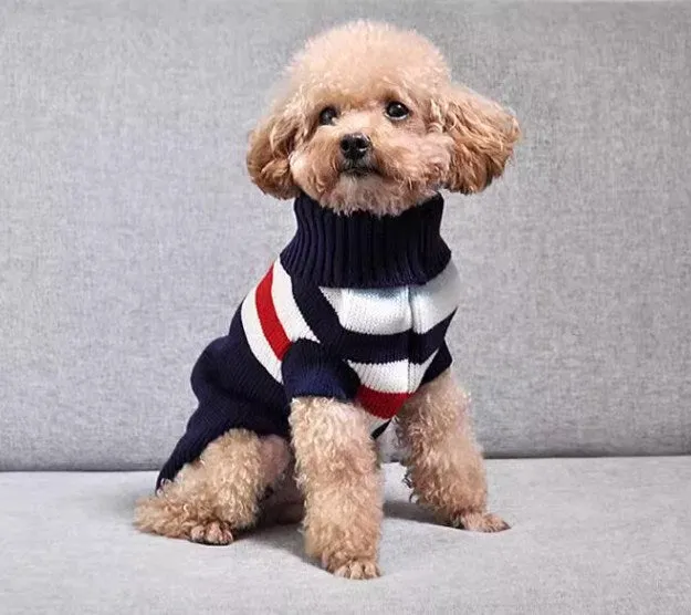 Striped dog knitwear (2 colors)